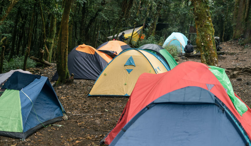 Web Vitals Tools Boost Your to Sen Performance Scores